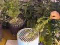 Video Trimbox