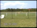 Hangar 9 J-3 Piper Cub First Flights