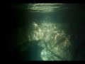 Freediving around the Grotto in Tobermor...