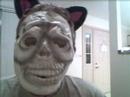 dead kitty