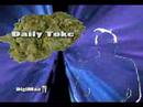 Daily Toke on Cyber Hippies Unite 032807 Daily Toke on Cyber Hippies Unite 032807