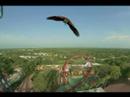 Sheikra - Busch Gardens Sheikra - Busch Gardens