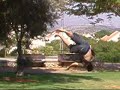 evil back full