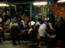 kuda mabok 3