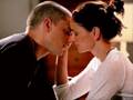 Michael Scofield and Sara Tancredi - True Love