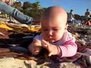 sand and seaweed