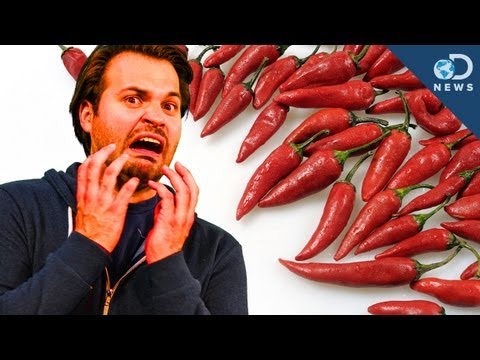 spicy - There are some foods out there that seem as though they'll burn a hole through your tongue. What's spicy food got that causes such a reaction? And why does i...