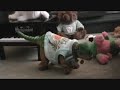 Pleo Plays Piano