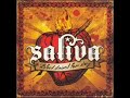 Saliva ladies and Gentlemen
