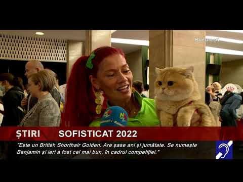 Pisicile sofisticate