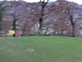 Golf Drive