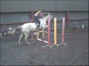 this is nikkis lovely grey flea bitten 13hh2 showjumper thankyou nikki for letting me ride him xx