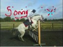 this is nikkis lovely grey flea bitten 13hh2 showjumper thankyou nikki for letting me ride him xx