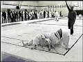 Gustavo Dantas BJJ Highlights Gustavo Dantas BJJ Highlights