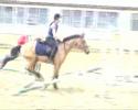 Saut Kerrison