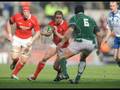 ICKLE SHANE MAGIC DAPS WILLIAMS