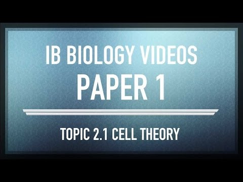 how to study for ib biology hl exam