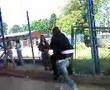 Cavalinho