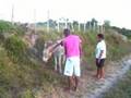 Assistir ao v�deo