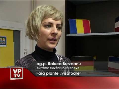 Fara plante „visătoare”