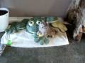 videos de coco vidio 2