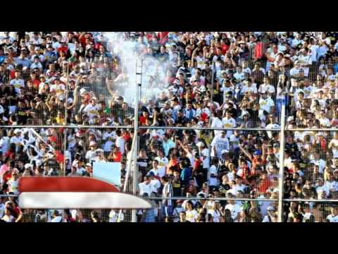 [DaleAlbo TV] Colo Colo cierra su semestre en el Monumental