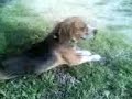 giacomo 21/08