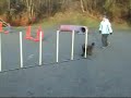Boocha agility