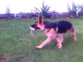 Max - 6 Meses, 1 Semana