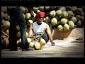 YogaTube ☆☆☆☆☆ Street Festival : Pondicherry Tourism