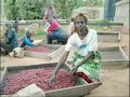 fair trade fair trade
