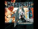 Megadeth - You\