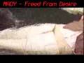 Freed from desire - Mady feat. Seefeld