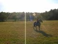 horse bloopers 2007 horse bloopers 2007