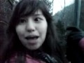the zipline