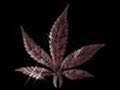 cool song to kik back 2 hope u like it Chorus: (Bizzy Bone and Bluelight) Keep smokin - I'm the weedman, I'm the weedman, I'm the weedman Keep on chokin - I'm the weedman, I'm the weedman; Yeah boi, wear corduroy I've gotta keep on smokin - I'm the weedman, I'm the weedman, I'm the weedman Keep on chokin - I'm the weedman, I'm the weedman; Yeah boi, wear corduroy (Bizzy Bone) Hey, gimme some herbs, the word Better hit it, we know, we know what you heard Thai-da-da-da, done hit my burb Here ...