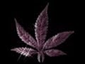 bonethugz   bizzybone    weed man 