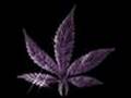 bone,thugz...bizzy,bone...(weed man)