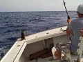 Deep Sea Fishing, Bermuda - D\