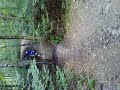 Julia mountainbike parcours Leersum 1