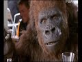 spot crodino gorilla gazzella