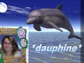 les dauphins