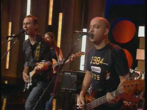 תערובת אסקוט - ואולי תבוא איזו נחמה