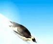 Baby's Language Winter Penguin Animation