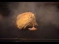 Dança Afro C. Mestre Alberi Dança Afro C. Mestre Alberi