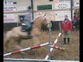 Paardryde springen. 1