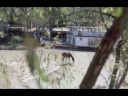 videos de Gem on the Murray.wmv