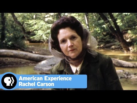 rachel carson essay Check out our top free essays on the obligation to endure rachel carson to help you write your own essay. rachel carson essay Check out our top free essays on the obligation to endure rachel carson to help you write your own essay.