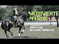 Motivation für Dressurpferde