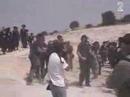 Free Palestine: Zionist Jews killing Orthodox Jews